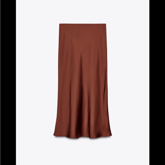 Not for sales not buy  Zara satin midi skirt - Picture 1 of 1